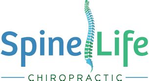 Spine life chiropractic niceville  Related Pages